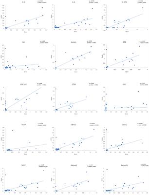 Atherosclerosis and Bone Loss in Humans–Results From Deceased Donors and From Patients Submitted to Carotid Endarterectomy